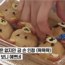 피크닉 도시락 이미지