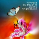 삶은 달걀과 귤의 조합 이미지