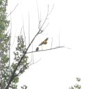 낙동강변16 이미지