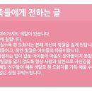 일동예일어린이집 이미지