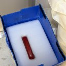 클린히트 | [비쎌 스팟클린 프로히트 습식청소기 대여] 내돈내산 솔직후기 / 네이버 청소판다 이용 했어요 : )