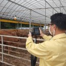 영동축사 이미지