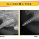 금호동물병원 이미지