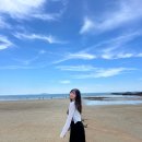 삼봉자동차야영장 | [태안] 아름다운 서해안! 태안 당일치기 드라이브 여행코스♥