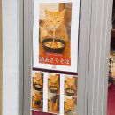 높고 맑은 소리, 소금(1) - 민요편 | [2025 요코하마] 아무것도 하지 않았으며, 할 건 다 한 ③