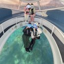 두꺼비섬 | 제주도 액티비티 유리바닥보트 후기 (할인 예약, 소요시간 정보)