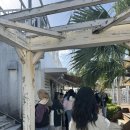 해피테라스 | [오키나와]세나가지마 우미카지 테라스 :) 해피팬케이크 웨이팅, 타코라이스 맛집, 스파 솔직후기