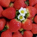 순이네농장 이미지