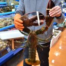 담양상회 이미지