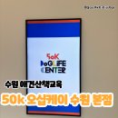50k 반려견 유치원 | 수원 반려견 애견산책교육 &lt;50k (오십케이) 수원본점&gt; 방문 후기