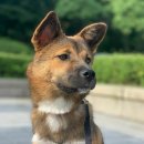 2020-225