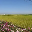 신동진축산