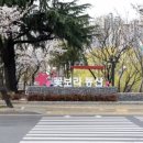 꽃보라동산 이미지