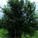 부용농장 이미지