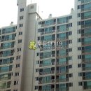 정자천로189번길 이미지