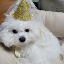 을미기식당 | 23.02