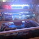 (주)이천써비스 | 신선한 해물맛집으로 입소문 자자한 이천 먹자골목 맛집 형제해물에서 바다가 느껴지는 해물모듬 먹어본...