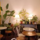 하우카페 이미지