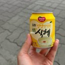 까치슈퍼 | [원주 현지인 알탕 맛집] 최자로드 &#39;까치둥지&#39; 웨이팅 내돈내먹 후기