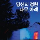 나무아래 이미지