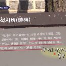 자야스토리