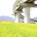 황산문화체육공원 이미지