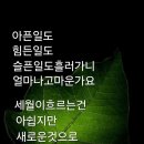 해피데이 이미지