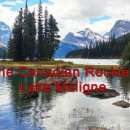 오늘머린 이미지