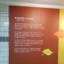 아트센타 앞 지하보도 이미지