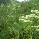 둔수농장 이미지