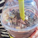 해운대블루라인(주)청사포정거장 이미지