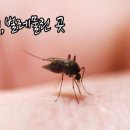 베라뷰티 이미지