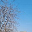 무용 장구반주 이미지