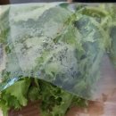 본도시락서부정류장점 이미지