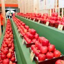 장수신농영농조합법인 이미지