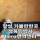 정옥민 박사 테라 면역 센터 | 장성 가볼만한곳 [정옥민박사tera 면역센터] 자쿠지탕에서 힐링