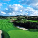 사이프러스골프리조트 이미지