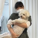 인생개컷 이미지