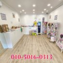 동성초 앞 이미지