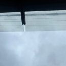 [비서일기👩‍💼061주] 잘놀고 잘먹고 잘일하는 비서일기~!~!