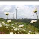 육백마지기 이미지