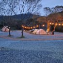 새늘농원 이미지