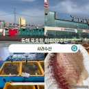 동해 맛집 묵호항 사라수산 망상오토캠핑리조트 가족여행 식사 내돈내산 만족 후기