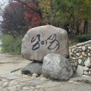 남이섬 봄펜션 이미지