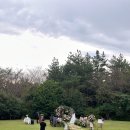 초원숲속가든 | 제주도 스몰웨딩 후기｜숲 속 가든 20명 실제 진행기·550패키지 플라워 스타일링