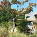 백낙제 플랫하우스 이미지