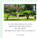 記231013 _작은 위로가 필요한 &#39;아픈 이&#39;들을 위한 &#39;햇빛일기&#39;