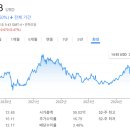 리바이스트라우스 이미지