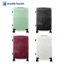 아놀드바시니 이미지