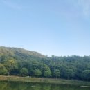 노루공원화장실 이미지